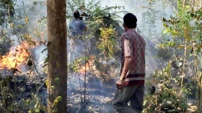 TUGAS BERAT : Petugas Perhutani, BPBD dan Masyarakat saat memadamkan api di hutan jati, petak 72a RPH Karetan, BKPH Karetan, KPH Banyuwangi Selatan. (ist)
